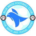 Africa-BlueBirds